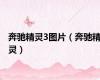 奔驰精灵3图片（奔驰精灵）