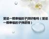 爱是一颗幸福的子弹好看吗（爱是一颗幸福的子弹剧情）