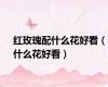 红玫瑰配什么花好看（什么花好看）