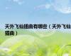 天外飞仙插曲有哪些（天外飞仙插曲）