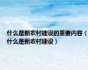 什么是新农村建设的重要内容（什么是新农村建设）