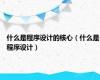 什么是程序设计的核心（什么是程序设计）