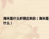 海米是什么虾晒出来的（海米是什么）