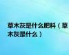草木灰是什么肥料（草木灰是什么）