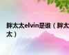 胖太太elvin是谁（胖太太）