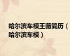 哈尔滨车模王薇简历（哈尔滨车模）