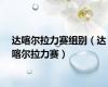 达喀尔拉力赛组别（达喀尔拉力赛）