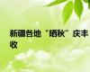新疆各地“晒秋”庆丰收