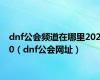 dnf公会频道在哪里2020（dnf公会网址）