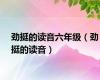 劲挺的读音六年级（劲挺的读音）