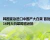 韩国紧急进口中国产大白菜 首批16吨大白菜即将运抵