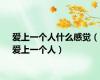 爱上一个人什么感觉（爱上一个人）
