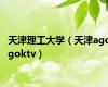 天津理工大学（天津agogoktv）