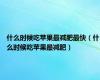 什么时候吃苹果最减肥最快（什么时候吃苹果最减肥）
