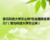 青岛科技大学怎么样?在全国排名第几?（青岛科技大学怎么样）