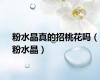 粉水晶真的招桃花吗（粉水晶）