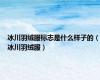 冰川羽绒服标志是什么样子的（冰川羽绒服）
