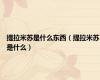 提拉米苏是什么东西（提拉米苏是什么）