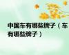 中国车有哪些牌子（车有哪些牌子）