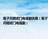 甄子丹精武门电视剧优酷（甄子丹精武门电视剧）