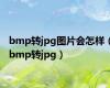 bmp转jpg图片会怎样（bmp转jpg）