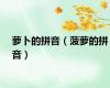 萝卜的拼音（菠萝的拼音）
