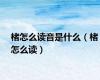 楮怎么读音是什么（楮怎么读）