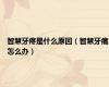 智慧牙疼是什么原因（智慧牙痛怎么办）
