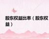 股东权益比率（股东权益）