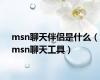 msn聊天伴侣是什么（msn聊天工具）