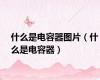 什么是电容器图片（什么是电容器）
