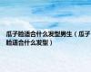 瓜子脸适合什么发型男生（瓜子脸适合什么发型）