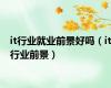 it行业就业前景好吗（it行业前景）
