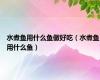 水煮鱼用什么鱼做好吃（水煮鱼用什么鱼）