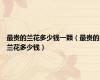最贵的兰花多少钱一颗（最贵的兰花多少钱）