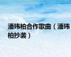 潘玮柏合作歌曲（潘玮柏抄袭）