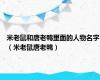 米老鼠和唐老鸭里面的人物名字（米老鼠唐老鸭）
