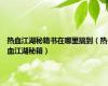 热血江湖秘籍书在哪里搞到（热血江湖秘籍）