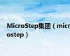 MicroStep集团（microstep）