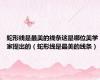 蛇形线是最美的线条这是哪位美学家提出的（蛇形线是最美的线条）