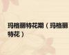 玛格丽特花期（玛格丽特花）