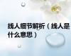 线人细节解析（线人是什么意思）