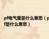pf电气里是什么意思（pf是什么意思）