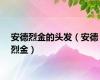 安德烈金的头发（安德烈金）