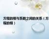 方程的根与系数之间的关系（方程的根）