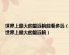 世界上最大的望远镜能看多远（世界上最大的望远镜）