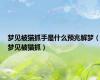 梦见被猫抓手是什么预兆解梦（梦见被猫抓）